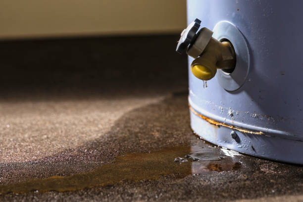 Best Water damage cleanup near me  in East Ithaca, NY