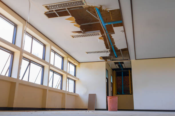Best Water damage restoration near me  in East Ithaca, NY