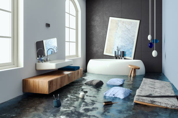 Best Water damage cleanup near me  in East Ithaca, NY