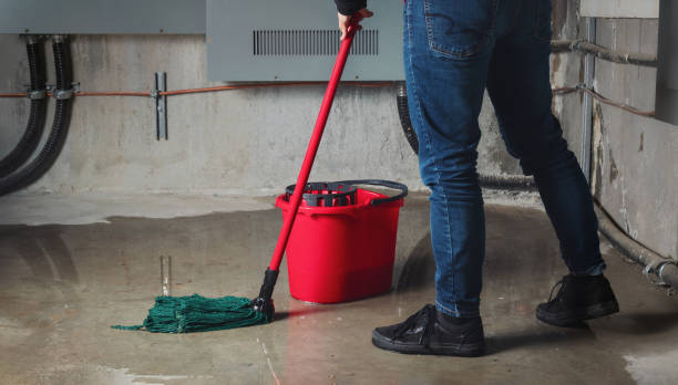 Best Carpet water damage restoration  in East Ithaca, NY