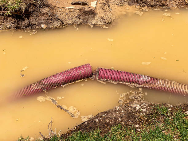 Best Basement water damage restoration  in East Ithaca, NY